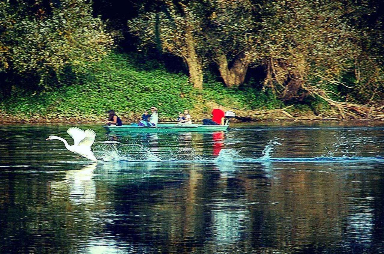 Zagreb, Kuca Za Odmor Swan River Holiday House Lasinja Eksteriør billede