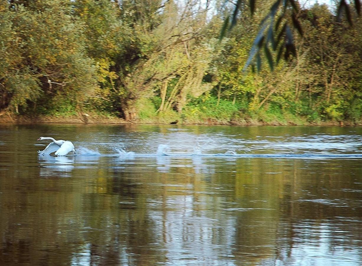 Zagreb, Kuca Za Odmor Swan River Holiday House Lasinja Eksteriør billede