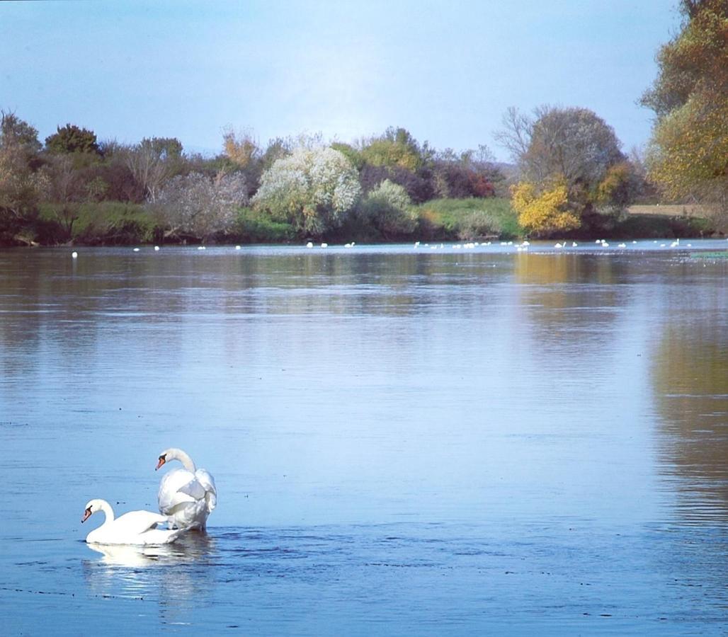Zagreb, Kuca Za Odmor Swan River Holiday House Lasinja Eksteriør billede